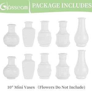 White Mini Vases Set